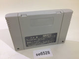 Dragon Knight 4 SNES Super Famicom Japan - SE6528