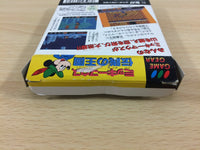 UB4681 Mickey Mouse Densetsu no Oukoku BOXED Sega Game Gear Japan