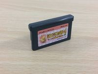 UC9472 Sylvanian Families 4 BOXED GameBoy Advance Japan