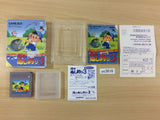 UC3816 Kawa no Nushi Tsuri 3 Fishing BOXED GameBoy Game Boy Japan