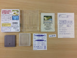UC3816 Kawa no Nushi Tsuri 3 Fishing BOXED GameBoy Game Boy Japan