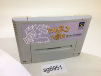 sg6951 Torneco no Daibouken Fushigi no Dungeon SNES Super Famicom Japan