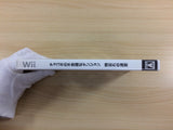 Chocobo's Mysterious Dungeon Wii Japan - UD5474