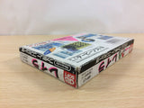 Layla Maze Action BOXED NES Famicom Japan - UC6514