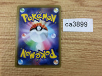 CA3899 Zygarde Fighting R S3a 039/076 Pokemon Card TCG