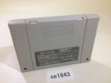 Brandish 2 The Planet Buster SNES Super Famicom Japan - SE1643