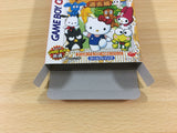 ua9921 Sanrio Time Net Kako Hen BOXED GameBoy Game Boy Japan