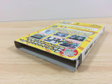 FG2948 Gekitou Pro Yakyu BOXED GameCube Japan