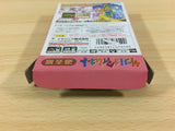 ua9921 Sanrio Time Net Kako Hen BOXED GameBoy Game Boy Japan