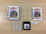 Sylvanian Families Otogi no Kuni no Pendant BOXED GameBoy Game Boy - UC6235