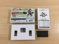 UD3397 Mario & Luigi RPG BOXED GameBoy Advance Japan