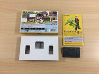 ud7160 Rockman Exe 2 Megaman BOXED GameBoy Advance Japan