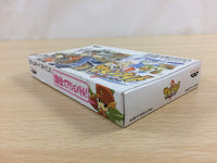 UD6693 Summon Night Craft Sword Story BOXED GameBoy Advance Japan