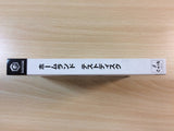 Home Land Test Disc BOXED GameCube Japan - FG3770