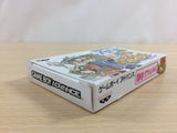 UD6693 Summon Night Craft Sword Story BOXED GameBoy Advance Japan