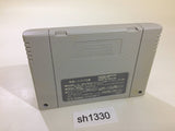 Ruin Arm SNES Super Famicom Japan - SH1330