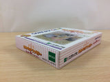 Sylvanian Families Otogi no Kuni no Pendant BOXED GameBoy Game Boy - UC6235