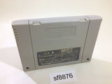 Record of Lodoss War Lodoss Tou Senki SNES Super Famicom Japan - SF8876