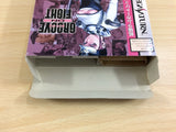 dg3156 Groove on Fight Power Instinct 3 RAM Sega Saturn Japan