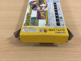 ud7160 Rockman Exe 2 Megaman BOXED GameBoy Advance Japan