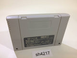 Illvanian no Shiro Ruins of Illvanian SNES Super Famicom Japan - SH4217