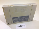 Super Puyo Puyo SNES Super Famicom Japan - SA4312