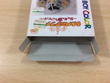 Sylvanian Families Otogi no Kuni no Pendant BOXED GameBoy Game Boy - UC6235