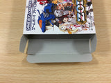 Zoids Saga BOXED GameBoy Advance Japan - UB9670