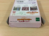 Sylvanian Families Otogi no Kuni no Pendant BOXED GameBoy Game Boy - UC6235