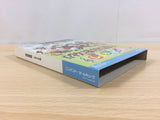 Harvest Moon Magical Melody Shiawase No Uta BOXED GameCube Japan - FH2304