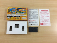 UD3910 Dragon Ball Advanced Adventure BOXED GameBoy Advance Japan