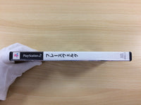 UD5373 Hraesvelgr PS2 Japan