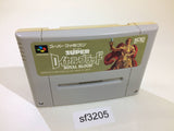 Super Royal Blood Gemfire SNES Super Famicom Japan - SF3205