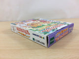 Sylvanian Melody BOXED GameBoy Game Boy Japan - UC6236