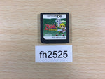 FH2525 The Legend of Zelda Spirit Tracks Nintendo DS Japan