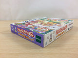 Sylvanian Melody BOXED GameBoy Game Boy Japan - UC6236