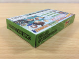Eyeshield 21 Devilbats Devildays BOXED GameBoy Advance Japan - UB3035