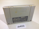 Yu Yu Hakusho 2 SNES Super Famicom Japan - SB4533