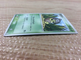 CB4091 Seedot Grass Common ADV4 010/083 Pokemon Card TCG Japan