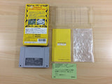 Dragon's Earth BOXED SNES Super Famicom Japan - UD7921