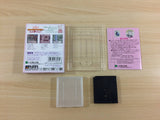 Sylvanian Families Otogi no Kuni no Pendant BOXED GameBoy Game Boy - UC8886