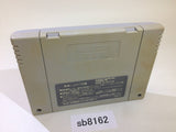 Yu Yu Hakusho 2 SNES Super Famicom Japan - SB8162