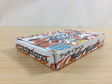 UD3911 Fire Pro Wrestling A BOXED GameBoy Advance Japan