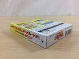Dragon Quest Monsters 2 Iru BOXED GameBoy Game Boy Japan - UD6218