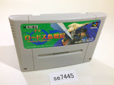 Record of Lodoss War Lodoss Tou Senki SNES Super Famicom Japan - SE7445