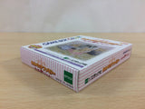 Sylvanian Families Otogi no Kuni no Pendant BOXED GameBoy Game Boy - UC8886