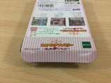 Sylvanian Families Otogi no Kuni no Pendant BOXED GameBoy Game Boy - UC8886