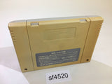 Populous SNES Super Famicom Japan - SF4520