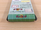 Dino Breeder 2 BOXED GameBoy Game Boy Japan - UD1324