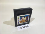 BU3709 Kaitei Densetsu!! Treasure World GameBoy Game Boy Japan